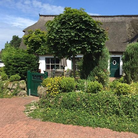 Birkenstrasse 10 Fischerhus ツィングシュト エクステリア 写真